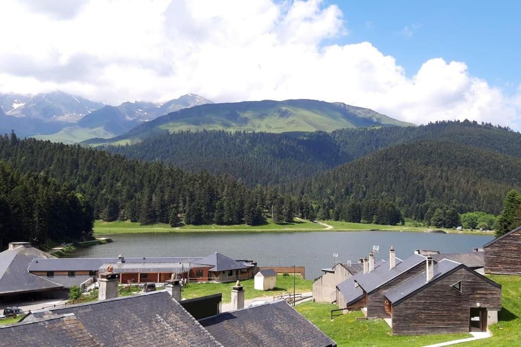 La Du Cerf à Payolle Appartement Campan