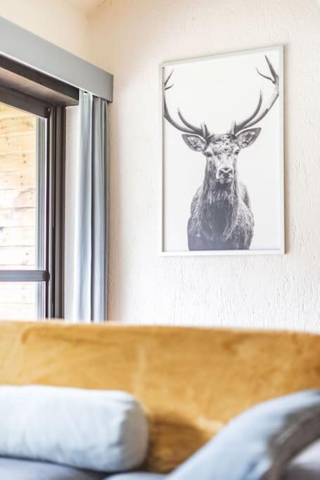 La Du Cerf à Payolle Appartamento Campan