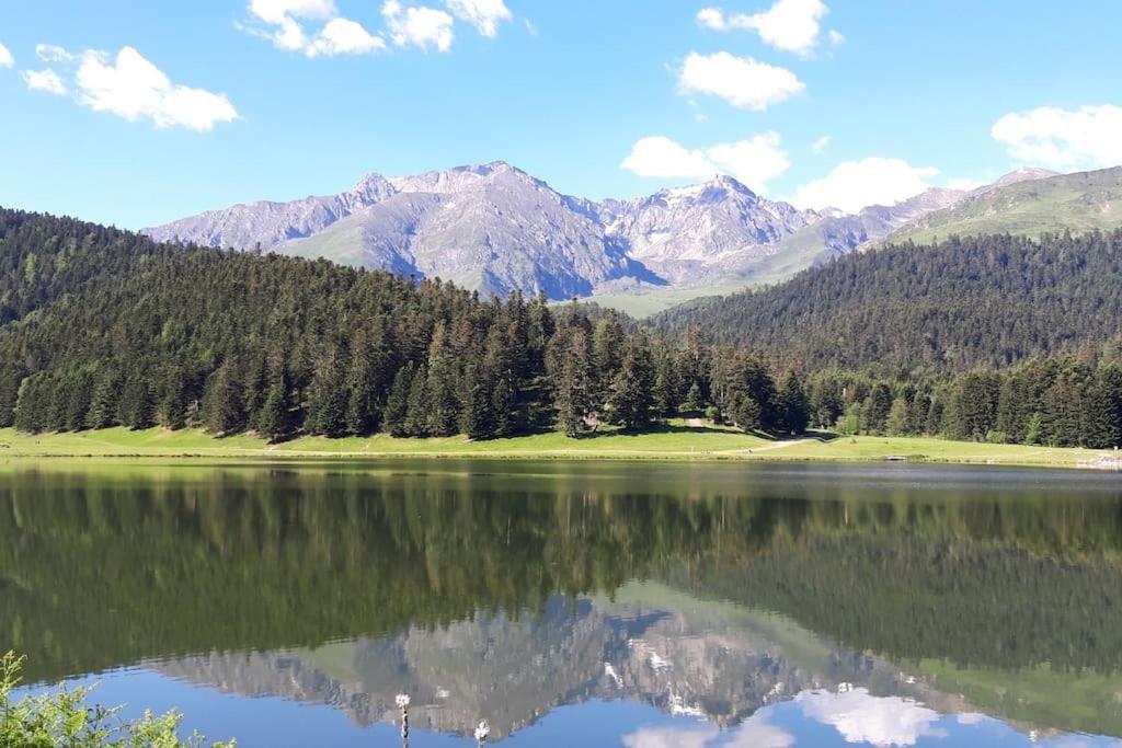 La Du Cerf à Payolle Appartamento Campan