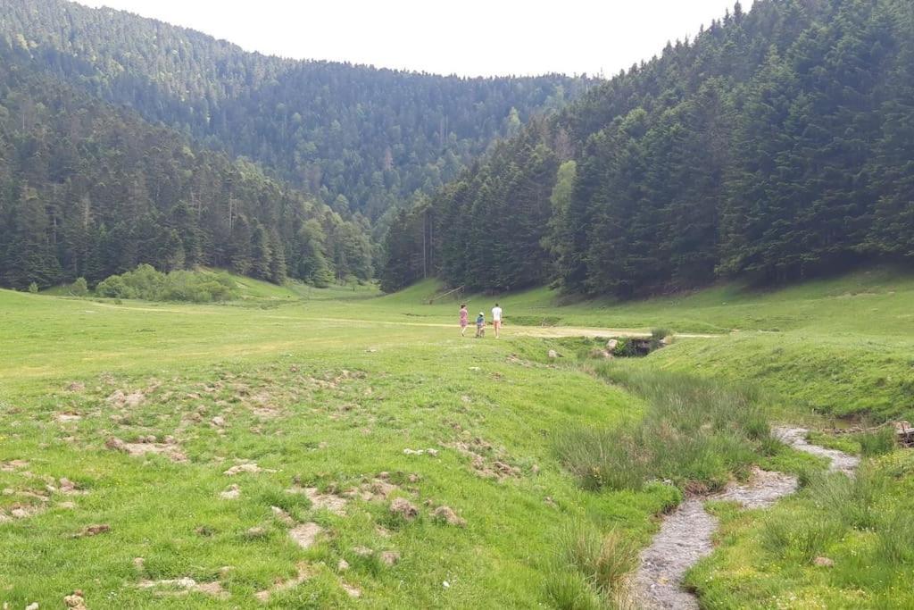 La Du Cerf à Payolle Appartamento Campan